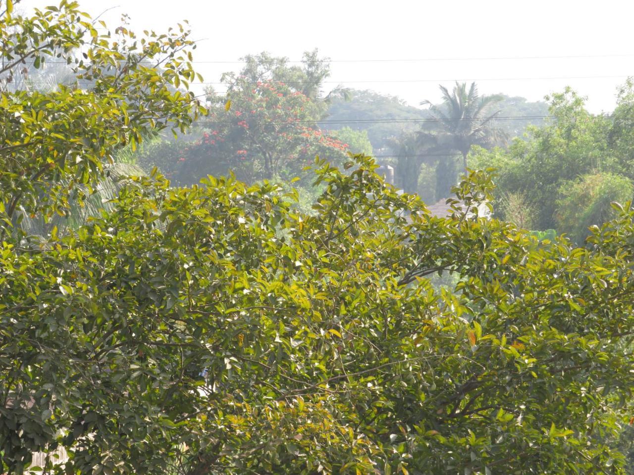City Palace Resort Lonavala Eksteriør billede
